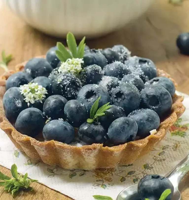 BLUEBERRY PIE